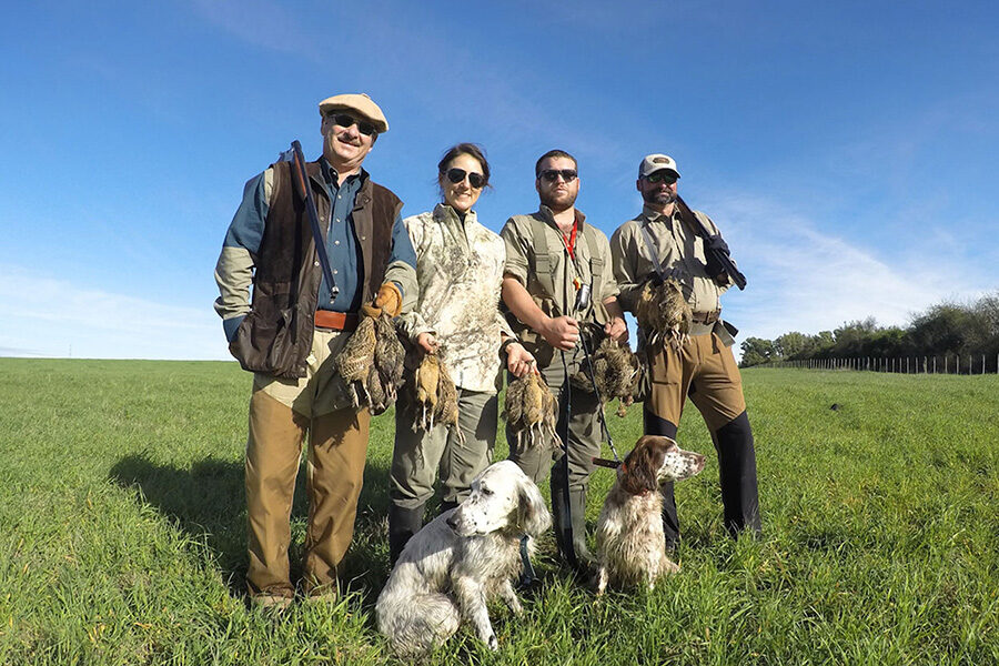 Dove Hunt for 8 Hunters